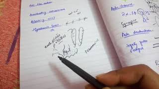 NEUROMUSCULAR JUNCTion and excitation contraction coupling ch 7 guyton fast and easy review part 2 [upl. by Garrick]