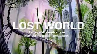 Worlds Oldest Fossilized Forest Unearthed in NY [upl. by Yuria461]