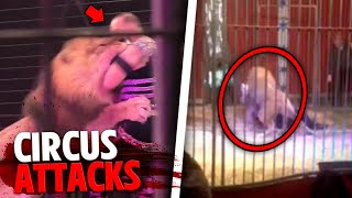 These 3 People Were RIPPED APART By Deadly Circus Animals [upl. by Hance]