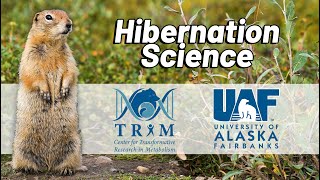 Hibernation Science Workshop [upl. by Ahsino]