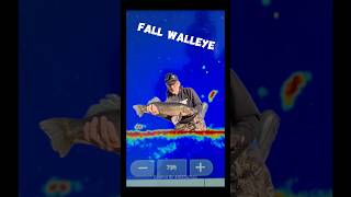 🍁Sharpshooting Fall Walleye🍁 walleye livescope sonnenburgoutdoors [upl. by Aisel163]