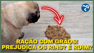 ABSOLUTAMENTE Tudo Sobre a Ração farmina NampD ancestral grain Frango e Romã Mini Cães Filhotes [upl. by Laemsi]