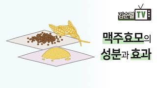 맥주효모에 항암 작용이 있나요 한의학박사 김순렬 [upl. by Sivahc]