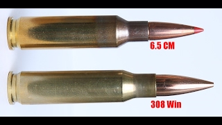 Can The 65 Creedmoor Replace the 308 Win As A SHTF Cartridge [upl. by Zined]