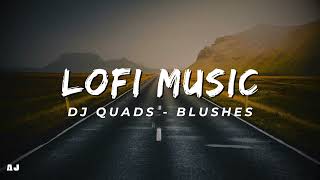 LOFI MUSIC  DJ QUADS  BLUSHES  AJ Non Copyright Music [upl. by Adnalor]