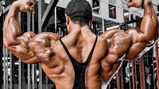 Roelly Winklaars Back and Arms Training  2 Weeks from Chicago Pro [upl. by Kuhn]