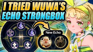 EXTRA DATA BANK EXP I Tried The ECHO STRONGBOX DATA MERGE in WUTHERING WAVES [upl. by Elvah428]