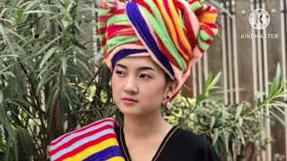 paO song နင်းဗိုလ်ဖျူး ယွိုက်ယက် byzayyaoffice [upl. by Avelin]