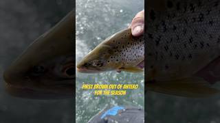 First Brown Trout Out Of Antero for The 2024 2025 Ice Fishing Seasoncolorado trout fishing [upl. by Artenahs]