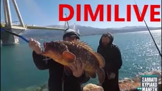 FISHING🇬🇷 ZAVRASΡΟΦΟΣALPHA TV [upl. by Enhpad]