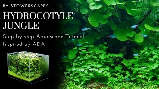 Hydrocotyle Jungle  StepbyStep HiTech Aquascape Tutorial  Inspired By ADA [upl. by Latimer]