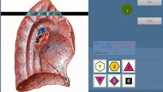 8d 9D nls Vector Instructions [upl. by Alur]