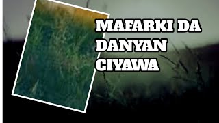 Mafarkin Danyen ciyawa [upl. by Rayford]