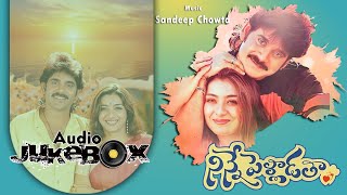 Ninne Pelladatha Telugu Songs Jukebox  Nagarjuna Tabu  Sandeep Chowta  ilovesongs90s [upl. by Betteanne]