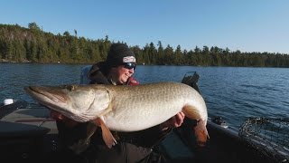 Trolling for Fall Muskies  InDepth Outdoors TV Season 10 Episode 1 [upl. by Sanfred]