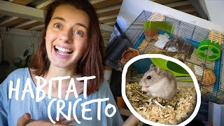 CRICETO🐹allestimento HABITAT [upl. by Anoyet985]