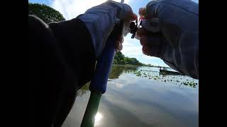 Potomac River MLF Bass Tournament 51124 [upl. by Nodnerb392]