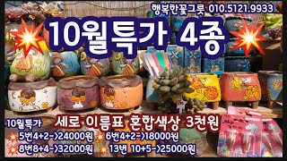 10월특가4종 모듬 소개합니다 신상 이름표 완전 너무 좋아요 10월특가자재 31하는 다육이 관리제 싹자바도 소개합니다행복한꽃그릇 01051219933 [upl. by Gnehc]