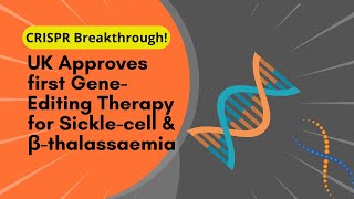 CRISPR Breakthrough UK Approves first GeneEditing Therapy for Sicklecell amp βthalassaemia [upl. by Alhan469]