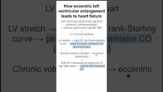 How eccentric left ventricular enlargement leads to heart failure [upl. by Anerual]