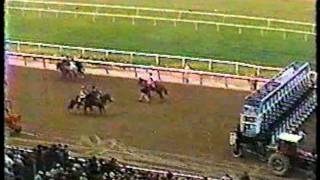 1979 Jockey Club Gold Cup  prepost race [upl. by Uile]