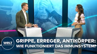 GRIPPE ERREGER ANTIKÖRPER  Wie funktioniert das Immunsystem  WELT GESUNDHEIT [upl. by Aniretak]