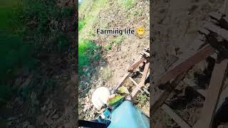 farmtrac 50 HP tractor power off agriculture kisan viralvideo trending farming [upl. by Nnodnarb]