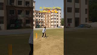 💥💪Six At School Terracecricketviralshortshortvideoytviralvideotrendingcricketstatustrebding [upl. by Initirb]