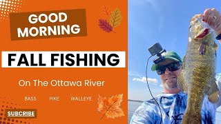 Good Morning Fall Fishing on the Ottawa River bassfishing pikefishing smallmouthbass fishing [upl. by Au]