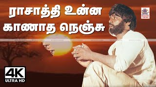 Rasathi Unna Kanatha Nenju  ராசாத்தி உன்ன காணாத  Ilaiyaraja Jayachandran [upl. by Cordova]