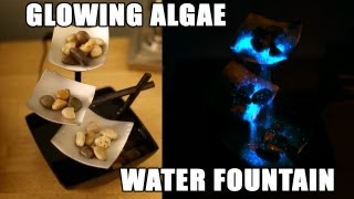 Glowing Algae Water Fountain [upl. by Owiat]