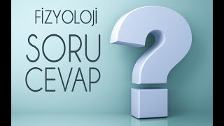 FİZYOLOJİ SORU CEVAP VİDEOSU [upl. by Nogras211]