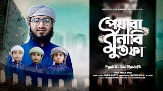 নবীর প্রেমের সেরা গজল  সাল্লিয়ালা নাবিয়্যিনা  PEYARA NABI MUSTOFA  ABDUL BASIT OFFICIAL [upl. by Nafis]