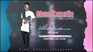 Chon Kanatin  Aron C Wuonyasembo Official Visualizer Wema Records [upl. by Oirobil]