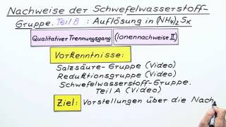 Nachweise der SchwefelwasserstoffGruppe Teil B  Chemie  Analytische Chemie [upl. by Narruc922]