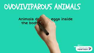 Oviparous viviparous and ovoviviparous animals [upl. by Oneladgam]