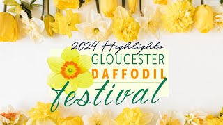 2024 Daffodil Festival Highlights [upl. by Hashum674]