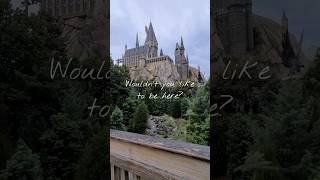 Wizarding World of Harry Potter  Universal Orlando [upl. by Ozne652]