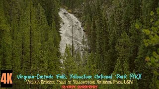 VIRGINIA CASCADE FALLS YELLOWSTONE NATIONAL PARK USA 4K [upl. by Leanatan]