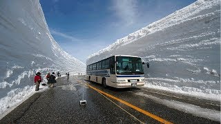 5 Nevadas Mas Recordadas De La Historia [upl. by Ahsotal686]