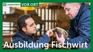 Niedersachsen Ausbildung zum Fischwirt [upl. by Enelrahs965]