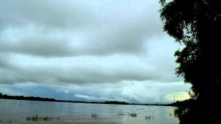 Timelapse Paseo Manamo  Tucupita City  Orinoco Delta River  Venezuela HD1080p [upl. by Amles]