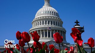 WATCH LIVE Senate holds hearing on unidentified aerial phenomena better known as UFOs [upl. by Atinrehs]