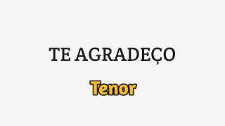 TE AGRADEÇO  Diante do Trono Tenor [upl. by Tedi]