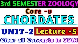 🎯for2 amp3rd Semester  COREV  CYCLOCTOMATA or AGNATHA Full Concept Clear  ବୁଝନ୍ତୁ ଓଡିଆରେ🔥 [upl. by Ruperto]