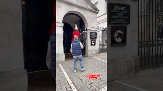 What is this guy doing Interviewing the Horse funny tourist history horseguard [upl. by Emeric756]