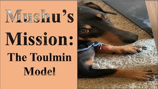 Crafting Persuasive Arguments with The Toulmin Model [upl. by Lyrac]