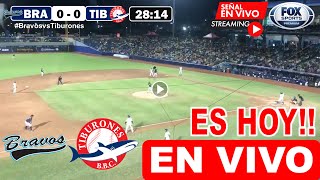 Bravos vs Tiburones EN VIVO donde ver y a que hora juega Bravos vs Tiburones en vivo LVBP 2023 [upl. by Samuelson]