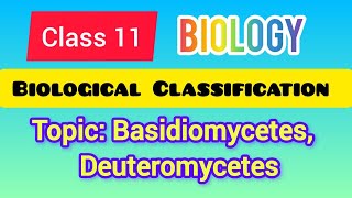 Class 11  Biology Biological Classification Topic Basidiomycetes Deuteromycetes ncert [upl. by Neelhtak747]