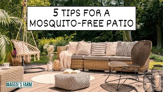 5 Tips for a MosquitoFree Patio [upl. by Fendig]